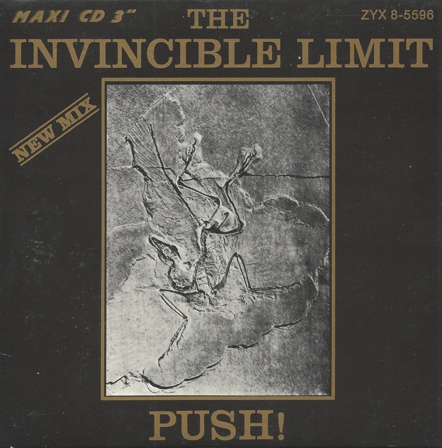 The Invincible Limit   Push (1)