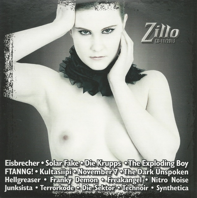 Various Artists - Zillo - CD 11-2013 (1)