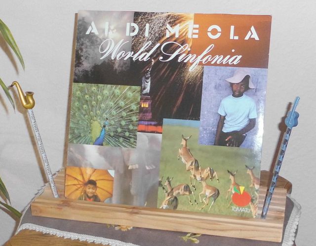 Al Di Meola WS