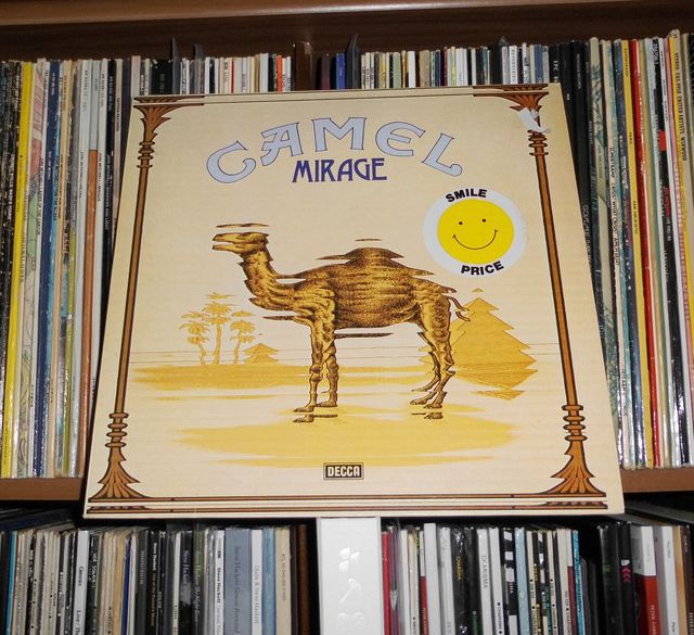 Camel Mirage