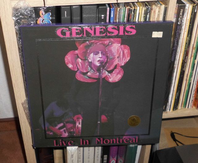 Genesis LiM