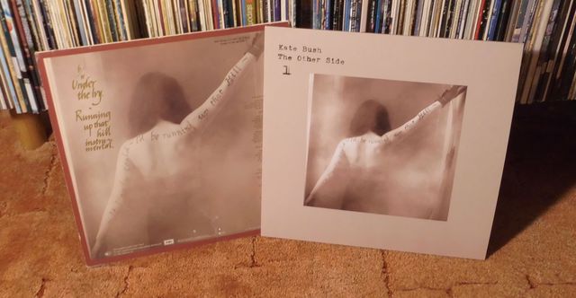  Kate Bush The Other Side 1