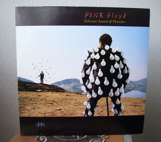 Pink Floyd  Delicate Sound of Thunder