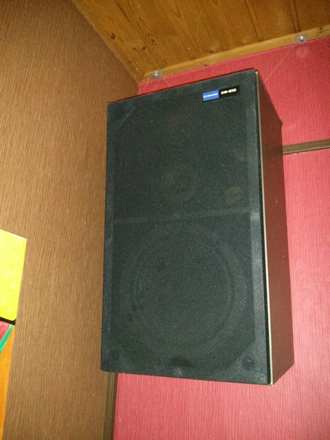 Pioneer Boxen