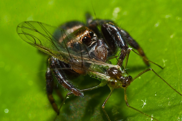 3564015024 19a9f9e76b Z