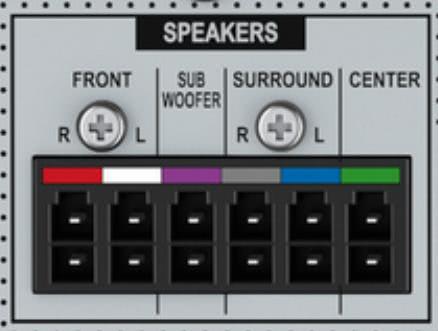 LS-Stecker Pioneer