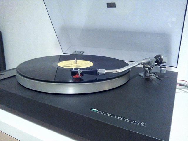 12083883 1045925418774985 1154266014 N