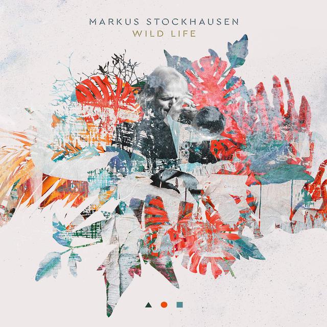 MarkusStockhausen_WildLife