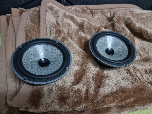 Focal 6W4359, Rare