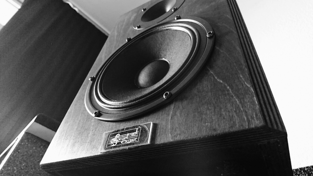 DSC 20170227112135513 Portrait Style Blue