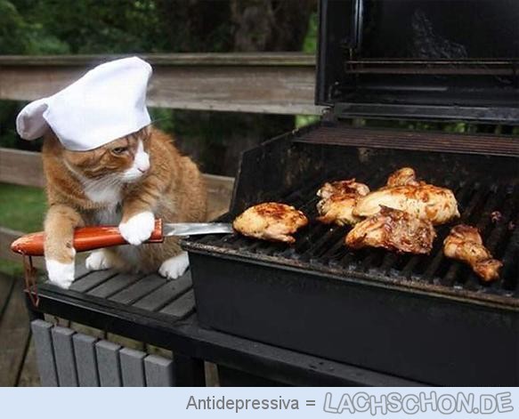 56271 Katze Am Grill