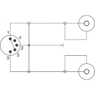 Speaka Professional Cinch Din Anschluss Audio Y Adapter 1x Diodenstecker 5pol Din 2x Cinch Buchse Sc