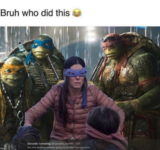 Bird Box Meme 2