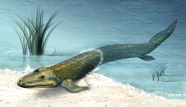 Tiktaalik Roseae Life Restor