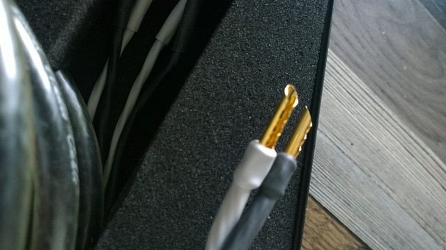 WP 20150823 09 46 25 Raw