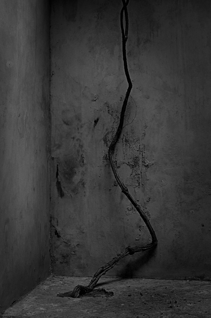 4999954544 048a9934a4 O