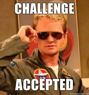 Challenge Accepted Barney 5619
