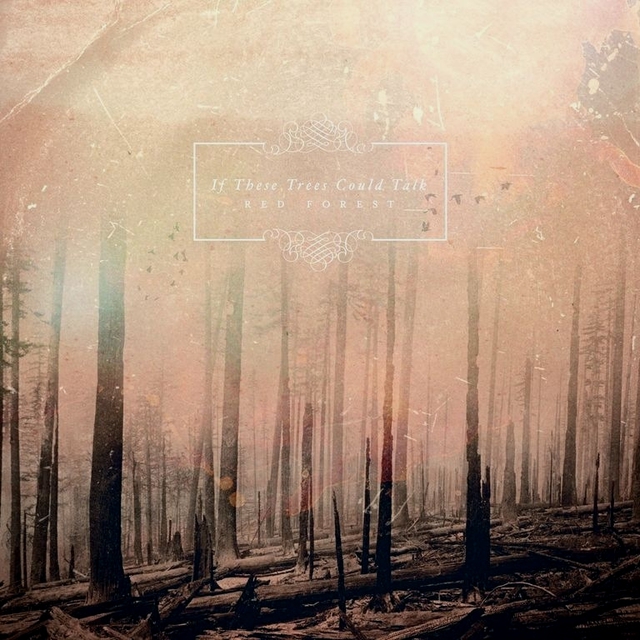 If These Trees Could Talk - Red Forest