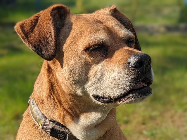 PXL 20220428 144332249 PORTRAIT