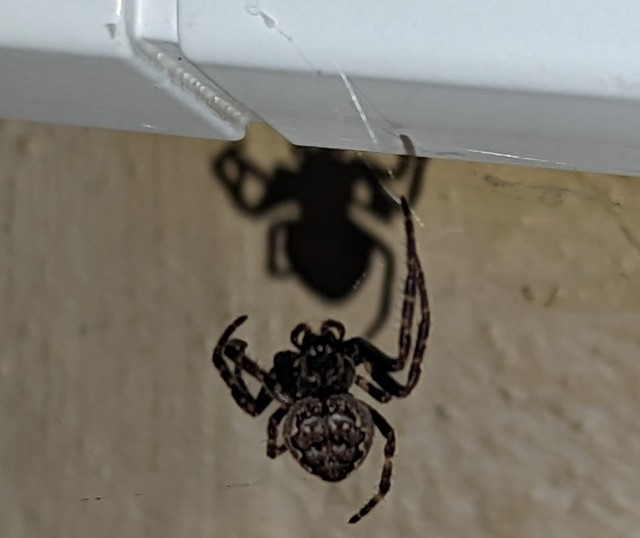 PXL 20220804 194311878~2