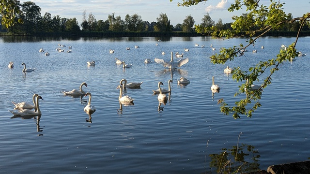 PXL 20240703 173933435 PORTRAIT ORIGINAL