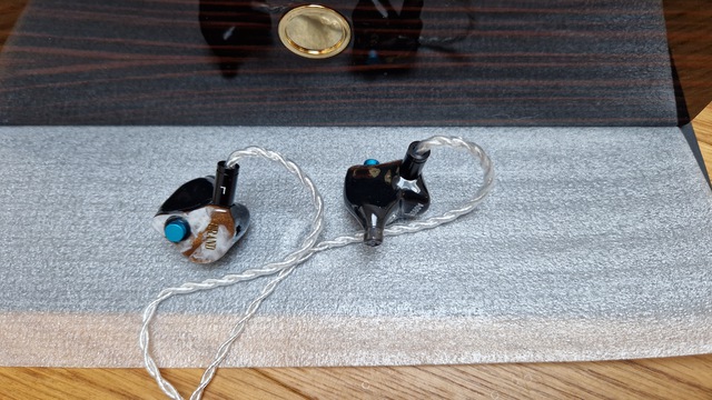 Fatfreq GM IEM