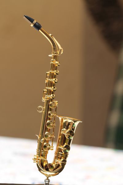 IMG_2923r-Sax