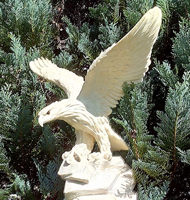 Aviary 1411481658430