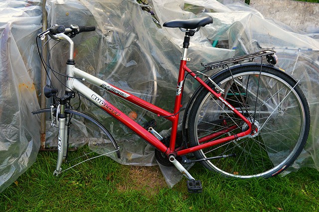 Aviary 1503765406229