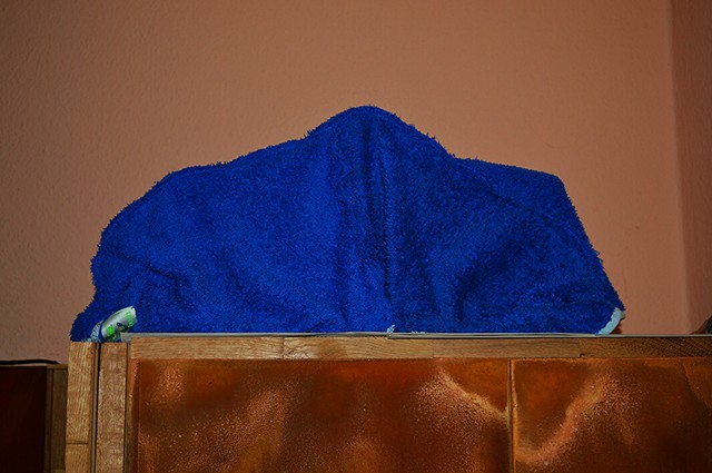 Aviary 1511629774181