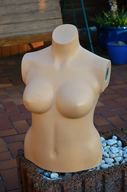 Aviary 1513171262942