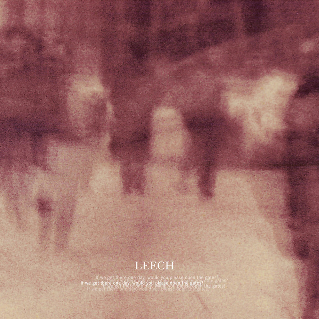 LEECH - If we get there one day.....