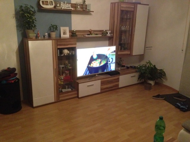 IMG 2508