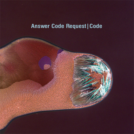 Answer Code Request   Code