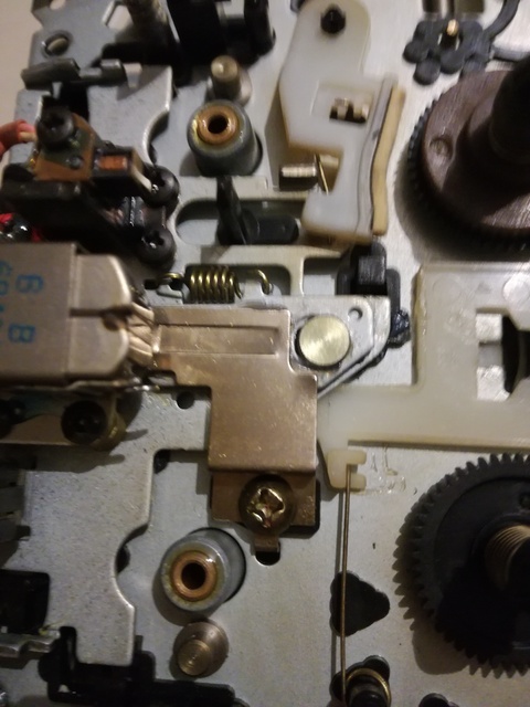 IMG 20190208 172546