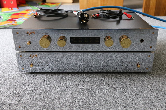3X1A8390 1AVM