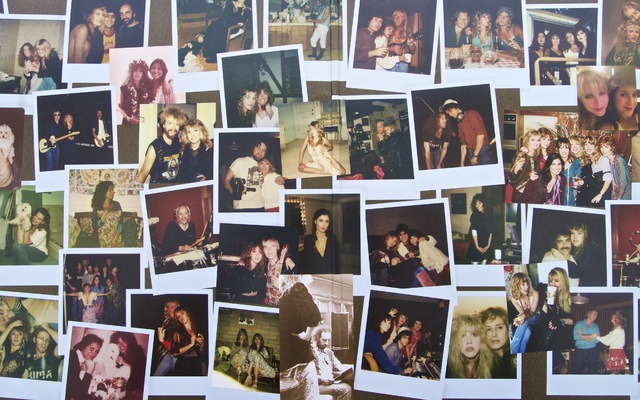 Stevie Nicks   24 Karat Gold (Gatefold)