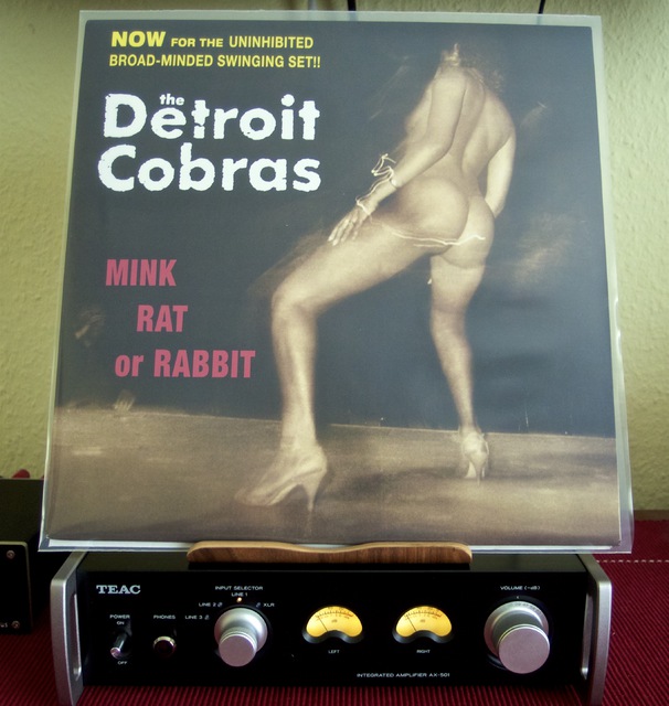 The Detroit Cobras   Mink, Rat & Rabbit