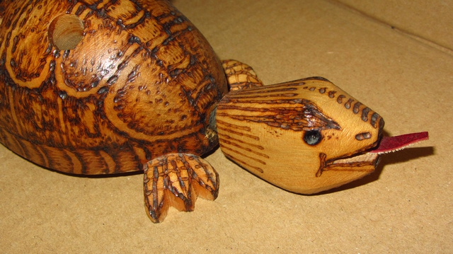 Holzschildkröte 2