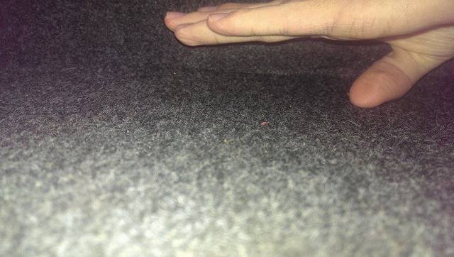 11015378 718011128311788 1240807416 N