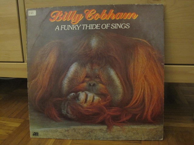 Billy Cobham - A Funky Thide of Things