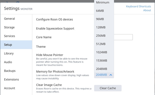 Setting Memory Roon