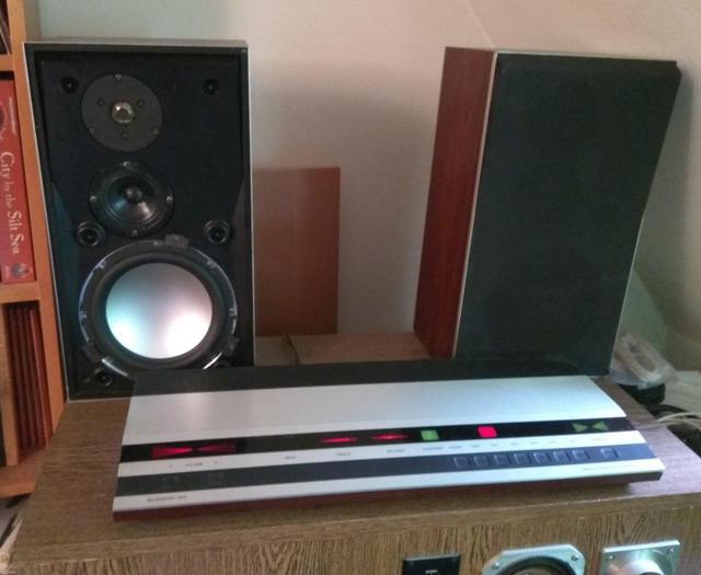 Beovox S45-2 Rebuild