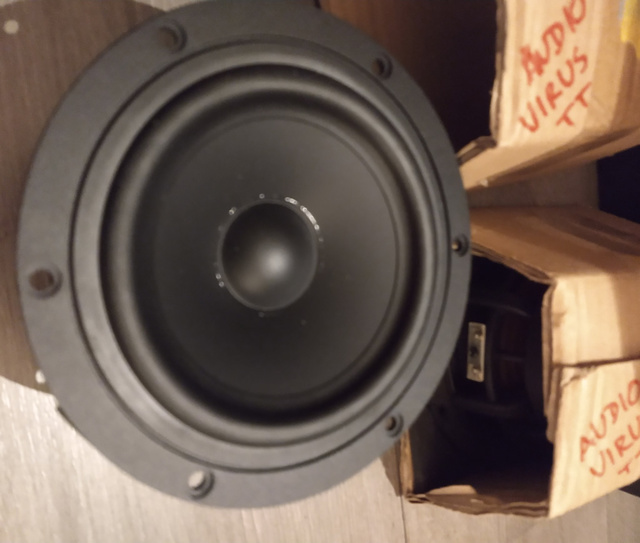 Audiovirus