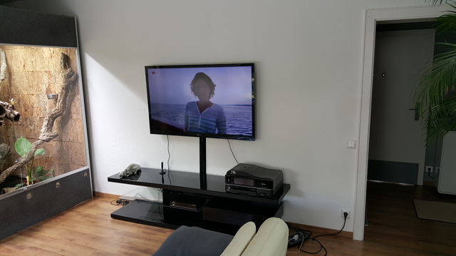 Wohnzimmer Bild 1