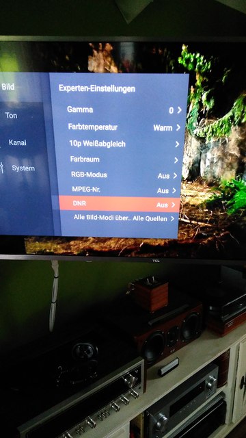 TCL U55P6046 Bildeinstellungen