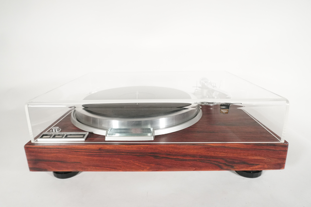 Polish 20210108 033658571