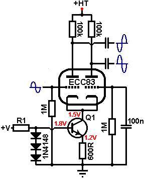 Ccs5