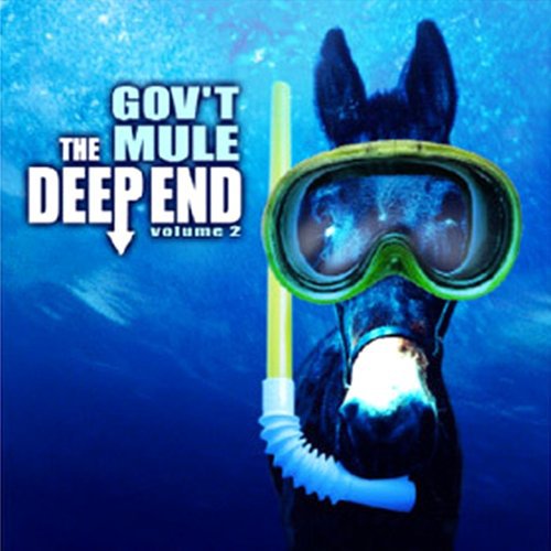 Gov't Mule - The deep end 2