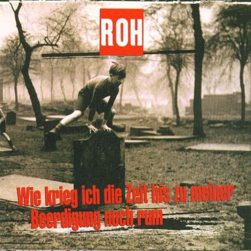 Roh - Wie krieg ich die Zeit bis zu meiner Beerdigung noch rum